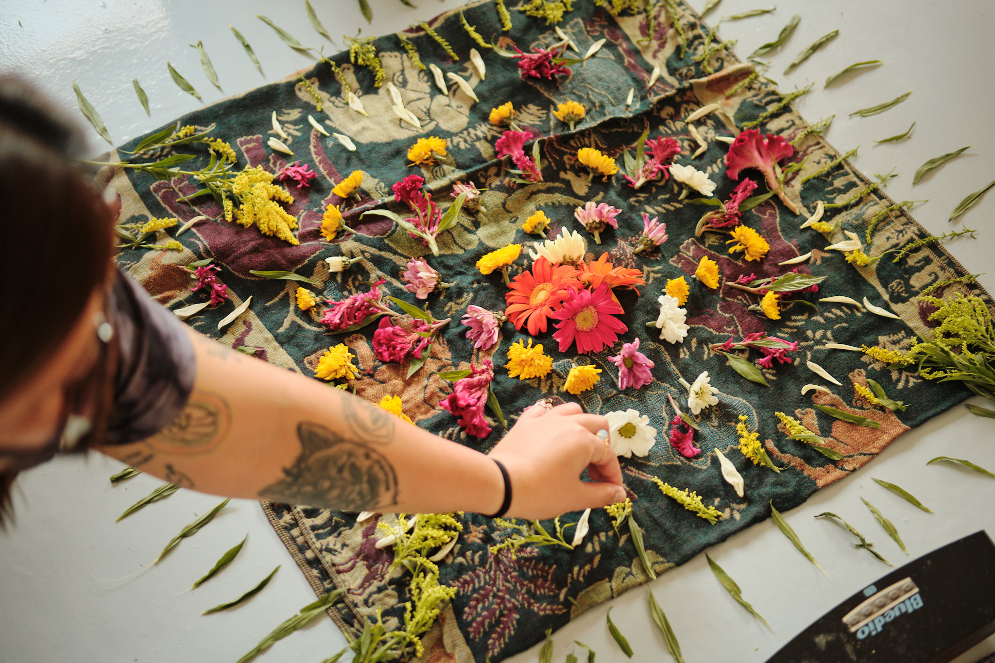 Gallery image 10 from Rapėh, Sanangga and Cacao Ceremony - April 27, 2025