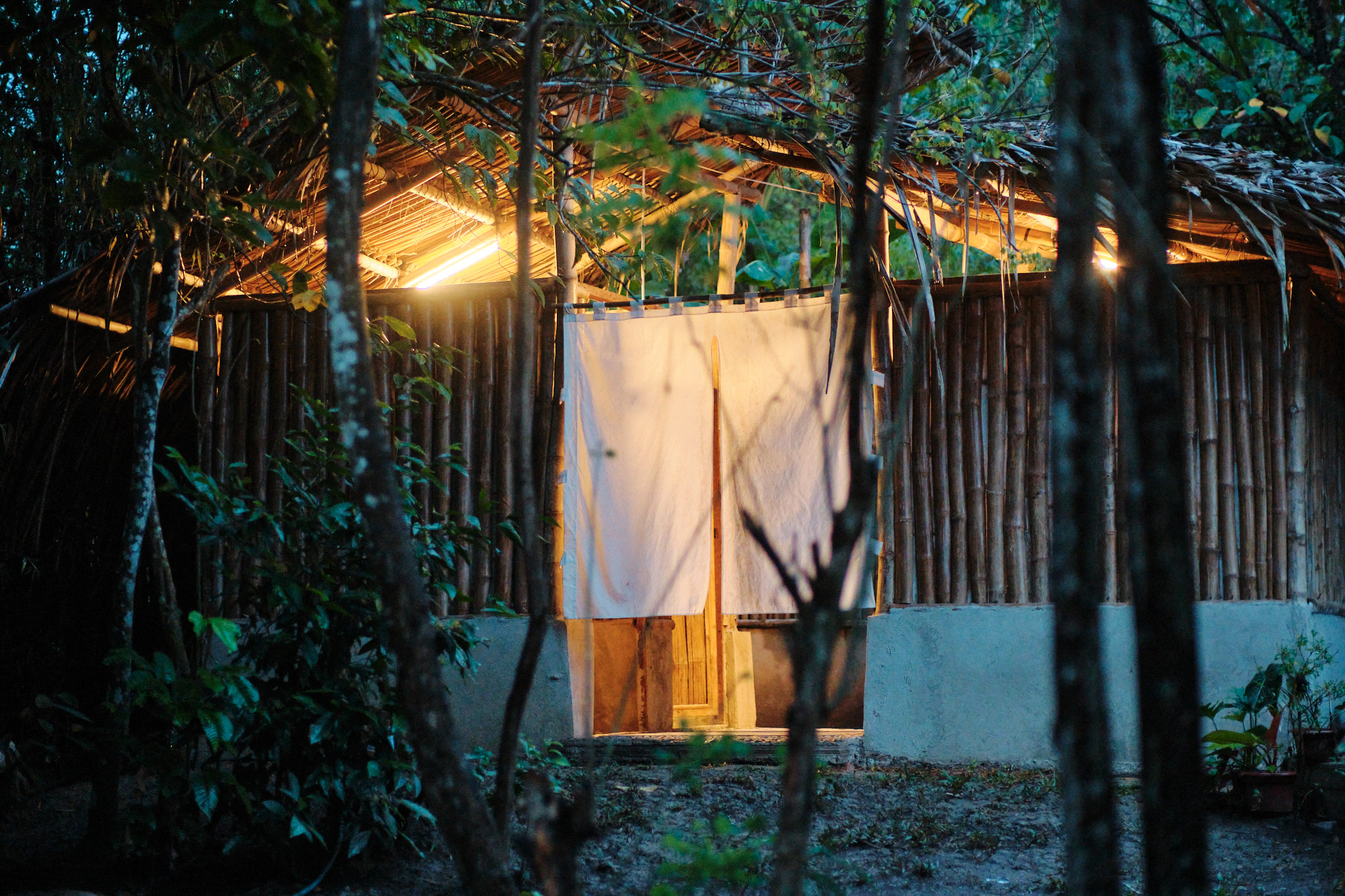 Gallery image 12 from Velada Ceremony - May 3, 2025