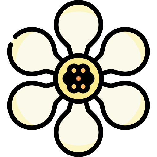 Sanangga icon